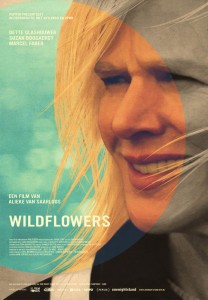 wildflowers-600